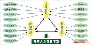 RFID設備全解析 電子標簽、讀寫器及性能參數與市場報價